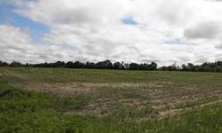 62 acres of prime farmland-50 tillable. Land also abutts 310th Street. Currently with crop lease.
Listing originally posted at http