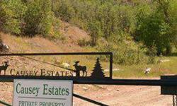 Excellent location near the top of Causey Estates. This cabin is sold furnished and seller financing is available. Beautiful 360 degree Scenery with abundant wildlife. Mule deer and Moose are frequent visitors. Original owner, occupied and appointment is