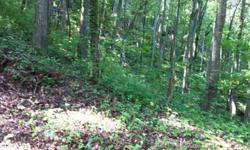 This eighteen acre tract is desirable Beaver Dam area with a fairly easy build site. Very private and ready to build. Listed way below tax value.Listing originally posted at http