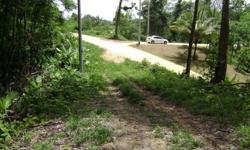 5.5 lots of Agricultural land. Land soil is fertile and perfect for peppers. Estate contains mahogany trees, breadfruit, mango, portugal and other fruit trees. 8 Minutes from Manzanilla. Easy access road. Lights and water available. Owner asking