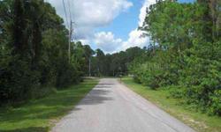 Large 2.45 acre lot directly on the Myakka River in the Myakka Country subdivision. Myakka Country is a subdivision with only 37 home sites giving you a fantastic opportunity to build your dream home. 220 feet of waterfront with full access to Charlotte