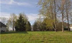 TREE-LINED .26 acre lot in CUSTOM, Low-maintenance neighborhood. RELAXING setting w/mature trees. This lot sits on a slight hill = nice drainage! Gorgeous homes all around w/only a few homesites still available. Low cost of living in small QUAINT, QUIET