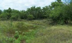 The property is approximately 45% wooded with live oak and mesquite trees and 55% in fields. There is one creek that runs through the property. In addition to the creek there are two ponds. Hill ridges provide excellent views of the property and beyond.