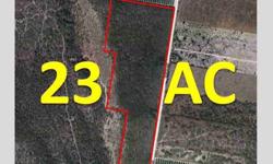 23 ACREAGE OF LAND ON TEXAN RD, BETWEEN MILE ten & 11. LAND HAS HEAVY TO LIGHT BRUSH, AND ALMOST ALL COVERED WITH GROWN TREES. OWNER WILLING TO NEGOTIATE.Listing originally posted at http