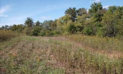 67 acres on Slater Creek, located in the Golden Triangle area, in Hancock Co., IL. This land consists of gently rolling CRP acres ($3100. income) falling to a densley wooded draw. Timber is predominately mature walnut with ash, hackberrry, and oak. A
