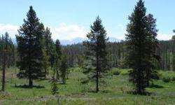 This lot will not disappoint! Huge views. Large parcel bordering open space. Paved roads & underground utilities. Forest Has been managed. Call for a map and tour if needed.Listing originally posted at http