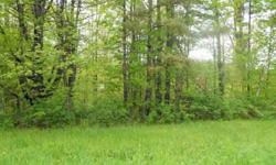 Everything in a sought after location! Corner lot with generous road frontage on two roads. Mostly level 1.05 wooded acres; give your dream home a setting sure to compliment and enhance.........