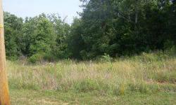 Nice building lot just minutes from downtown Jonesborough. Mostly wooded. Tons of blackberry bushes. Long range views from the front of the lot. Can be sold along with MLS# 320240.
Listing originally posted at http
