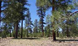 This gated Pine Canyon Homesite offers almost an acre to build your dream getaway under the Ponderosa Pines. Clubhouse offers agreat place to play. Underground utilities.
