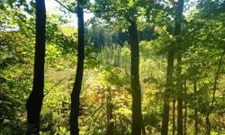 Beautiful 5 Acre partially wooded lot for sale. 500 foot drive way leads to cleared and leveled area perfect for a camper, small cabin or your new home. This is a one of a kind piece of land, not your typical field lot. Low cost Arcade electric available