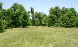 5 Acres of prime land ready for building! Property is all road frontage with beautiful views. County water accesible. Country living! 738 Rednour Rd. Smithland, Ky. Located between beautiful Grand Rivers Kentucky and Smithland, KY off of Hwy 453. Minutes