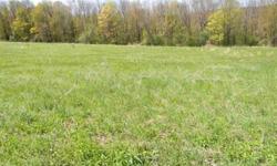 Quality woods and meadow with views for your new country home, farmette or weekend retreat. Located in Chenango County close to Lincklaen State Forest and 8 other State Forests with over 30,000 acres for 4 season recreation. Located on a year round Town