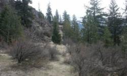 Affordable Piece of Montana! Looking for your Montana runaway. . .here it is. 1.14 acres with a level building site and an access road that is already built. Beautiful views of the Clark Fork River and the Mountains. Not too far back, Perfect location for