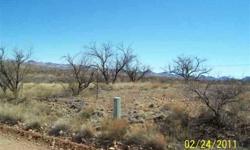 FENCED ten ACRES BETWEEN PAPALOTE WASH AND TWIN PEAKS. PLENTY OF SPOTS TO PUT YOUR DREAM HOME IN A SECLUDED SPOT. TAKE A LOOK, IT IS WAITING JUST FOR YOU.Listing originally posted at http
