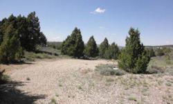 This 2.20 ac parcel sits in the middle of Long Valley Estate Subdivision and overlooks the valley. Juniper and Pinion Pine trees dot this lot adding vegetation and beauty. A County approved water system has been brought to the area and is available to buy