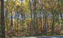 Wooded building lot near Panther Creek neighborhood. Easy access to I-85 and all the triangle. Well & septic permits not in place.Listing originally posted at http
