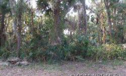 3 beautiful lots at nw corner of mango tree and 20th. Listing originally posted at http