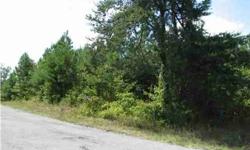 $25,000. Beautiful tract of land atop Cagle Mountain in Dunlap. Seller financing available. 5-year financing with 25 down and 6 interest. Seller will also divide property
