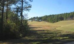 Great flat lot on one of the best rated golf courses in the state. New homes all around
Listing originally posted at http