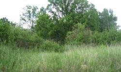 5 + Ac wooded building lots. Trees and views. Just outside Schoolcraft Game Fefuge. Close to 1000's of Ac. State & county land. Minutes from great fishing spots!Listing originally posted at http