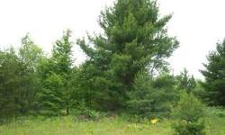 High ground 15 acre parcel approx 11 miles north of Manistique and 1/4 mile off M94 on the Hendricksen Road. Parcel is high & dry with electric available. There is a mix of Aspen and Conifers with plenty of potential building sites. Lots of wildlife in