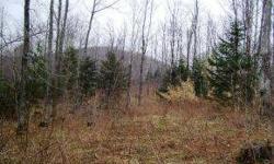 Private, wooded lot with great building potential. Direct snowmobile trail access. Excellent location for hunting and enjoying the great outdoors! 5.10 acres