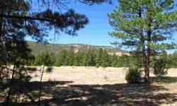 Timberlake Ranch- This parcel has variety with meadows, trees for privacy, and views towards the cliffs. Just minutes from Ramah Lake Reservoir and the national forest promotes time outside. Perfect place to enjoy camping or build that permanent home away