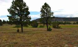 Timberlake Ranch- This parcel has distant views of the red striated cliffs to the south and west and pine trees to the north. From a small knoll there are some trees otherwise only a few tall ponderosa. Great for horses as there is a meadow, and good