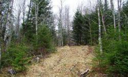 Secluded lot in wooded valley. Direct snowmobile trail access. Perfect spot for your getaway to privacy in beautiful Pittsburg. Electric nearby. 5.10 acres
