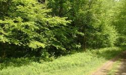 6.5 Secluded Mountain Top Acres. Catskill Mountains, Stamford, New York Delaware County. Great white tail & turkey hunting. ATV, camping, privacy. Power available. Contact number