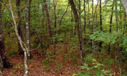 COME BUILD YOUR MOUNTAIN GET AWAY HOME ON THIS WOODED LONG RANGE MOUNTAIN VIEW LOT. THE VIEWS FROM THIS LOT IS OUTSTANDING AND WITH SOME SELECT TREE TRIMMING YOU COULD OPEN UP THE VIEWS IN OTHER DIRECTIONS.THIS LOT IS LESS THAN 10 MILES TO TOWN,AND