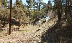 VERY PRIVATE & SECLUDED LOT. LEVEL & GENTLE UPSLOPE, 12,221 SQ. FT LOT TO BUILD YOUR "BIG BEAR DREAM CABIN". UTLITIES AT STREET AND JUST WAITING FOR THAT BIG BEAR DREAMER & CONTRACTOR. ONE OF THE LARGEST AND BEST PRICED LOTS IN BIG BEAR TODAY! DRIVE BY