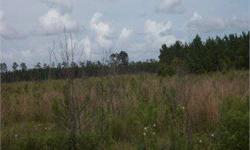 Known as the Noonan Tract. 187.5 ac. in Jasper County accessible on Highway 652, 14 miles north of Ridgeland S.C. on Interstate 95Timber is about 40 ac. in Lob Lolly pine and 147 ac in pine pulp wood about 15 years old.There are 6 Paper Mills within 100