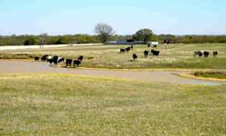 Beautiful Landscapping awaits you at this 80 Acres. Located approximately 1.5 hour from Dallas. Rolling Terrain with 2 Ponds, Lots of Trees, Fenced and Cross Fenced. Bring your Horses, Cattle or Livestock. Loafing Shed. Farm Equipment is also For Sale.