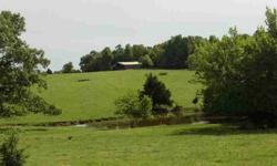 Hard to find pasture land in the popular Cedar Grove area just outside of Gainesboro. This 120 acres is a great mix of usable pasture with some nice wooded areas. It's mostly fenced & has been used for livestock for generations. There's numerous ponds on
