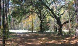 This 110 acre tract is located on Hwy 45 and Upton Road in St. Stephens, SC. The land features a gated entrance with a road providing access to the back of the property, a nice homesite with live oaks, approximately 20 acres of Loblolly pines, rolling