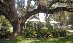 Estate sale, Plantation house with 50 acre estate. Located near Estill in Hampton County. Beautifully managed pine plantation with ancient live oaks and hardwoods. Fenced equestrian areas, large pecan groves with beautiful landscaping. Excellent road