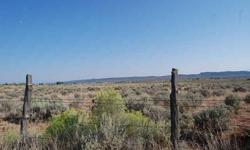 Beautiful raw land at the base of the LaSal Mountains. This 2.97 acre property has excellent views and is in a great location in the heart of LaSal. With the level terrain and power and phone in the street, it will make a great place to build and enjoy.