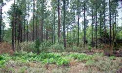 Just minutes from Ft. Stewart. Many lots to choose from, starting at 5 acres and up. Private country living. Owner will also consider owner financing. Call for more information.
Listing originally posted at http