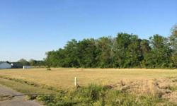 Two great lots at a terrific price! .78 Acres. Located in Country Meadow subdivision, right off of Hwy. 93 between Sunset and Cankton. This subdivision is small and quaint with blacktop road access and beautiful homes. Come build your dream home!