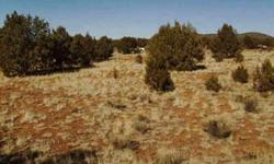 40.5 acres 11 mile north east of Show Low AZ. 85901 White Mountain Lakes area...approx 6 miles off paved Bourdon Ranch road 6000 ft elevation, parcel is partially tree covered with junipers. more info an pictures email..........26,995.