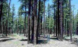 Sewer is 45 ft. from NE corner. Water is off NW corner(Az Water). Navopache Electric is off SE corner approximately 330 ft. Buyer to verify all costs to obtainutilities. Fabulous property in the heart of Pinetop! 2% grade.
Listing originally posted at