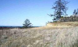 Feast your eyes upon the view of a life time! The perfect place to build your next home. High on the hillside of Tokeland, with a panoramic view of the Pacific Ocean, Olympic Mountains, where Willapa Bay meets the rest of the sea world. Experience the