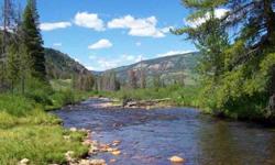 Beautiful 2.71 acre parcel bordering National Forest adjacent to Homestake Creek with water rights. Big views of the Continental Divide and Homestake Creek Valley. recreational paradise with fishing, hiking, horses, snow toys, miles of wilderness and