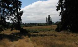 Gorgeous Mt Rainier View on this 20 acre parcel. Fully fenced pasture land with timber and rolling hills. Enjoy Yelm Creek which runs through a portion of the property! Come build your dream home and enjoy peace, harmony and nature at it's finest!