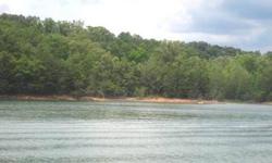 Blairsville s Newest Water Front Subdivision. THIS IS THE FIRST OFFERING OF THIS UNPARALLELED LOG CABIN COMMUNITY. Introducing "Water's Edge" on Lake Nottely. Protective Covenants & Restrictions. Underground utilities, Public Water, Hi-Speed Internet