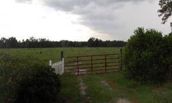 55 acres of pasture - If you're looking for a lifestyle change and always wanted the little dream ranch, this could be your opportunity. Located in Putnam County just West of Palatka this 55 acres of green pasture offers the opportunity to start your own