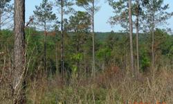 Prime Hunting Property170 continuous acres in Marion county Georgia with road access. Close to Columbus and Americus Georgia approximately 60 acres of 14 year old pines, 60 acres of plantation cut with 20 year old pines and 50 acres of hardwoods. Lots of