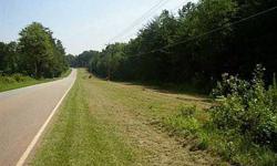 Perfect location for a mini farm or future development. Located directly across the road from Three Oaks subdivision. Mostly level and wooded with mature woodland trees and some old pine re-growth. Beautiful long rolling road frontage over 1,500 feet.