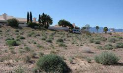 Huge lot in Chaparral Estates Subdivision with so much potential. If you are looking for a great lot with no HOA's, this lot is for you. Choose your own builder to construct the home of your dreams on 1.21 acres. This size residential lot is almost